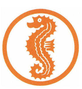 Aufbaukurs